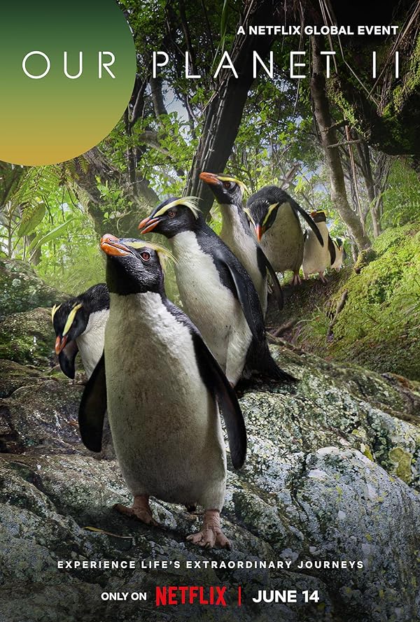 دانلود سریال  Our Planet